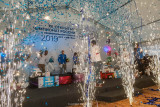 XII Открытый Чемпионат России