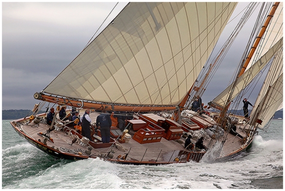 парусные новости, кубок westward 2010
