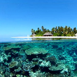 самый большой в мире, морской заповедник, архипелаг чагос, новости