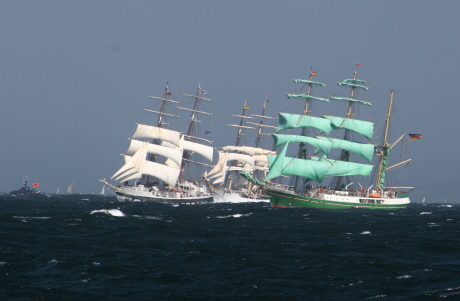 tall ships races, регата, парусники, новости